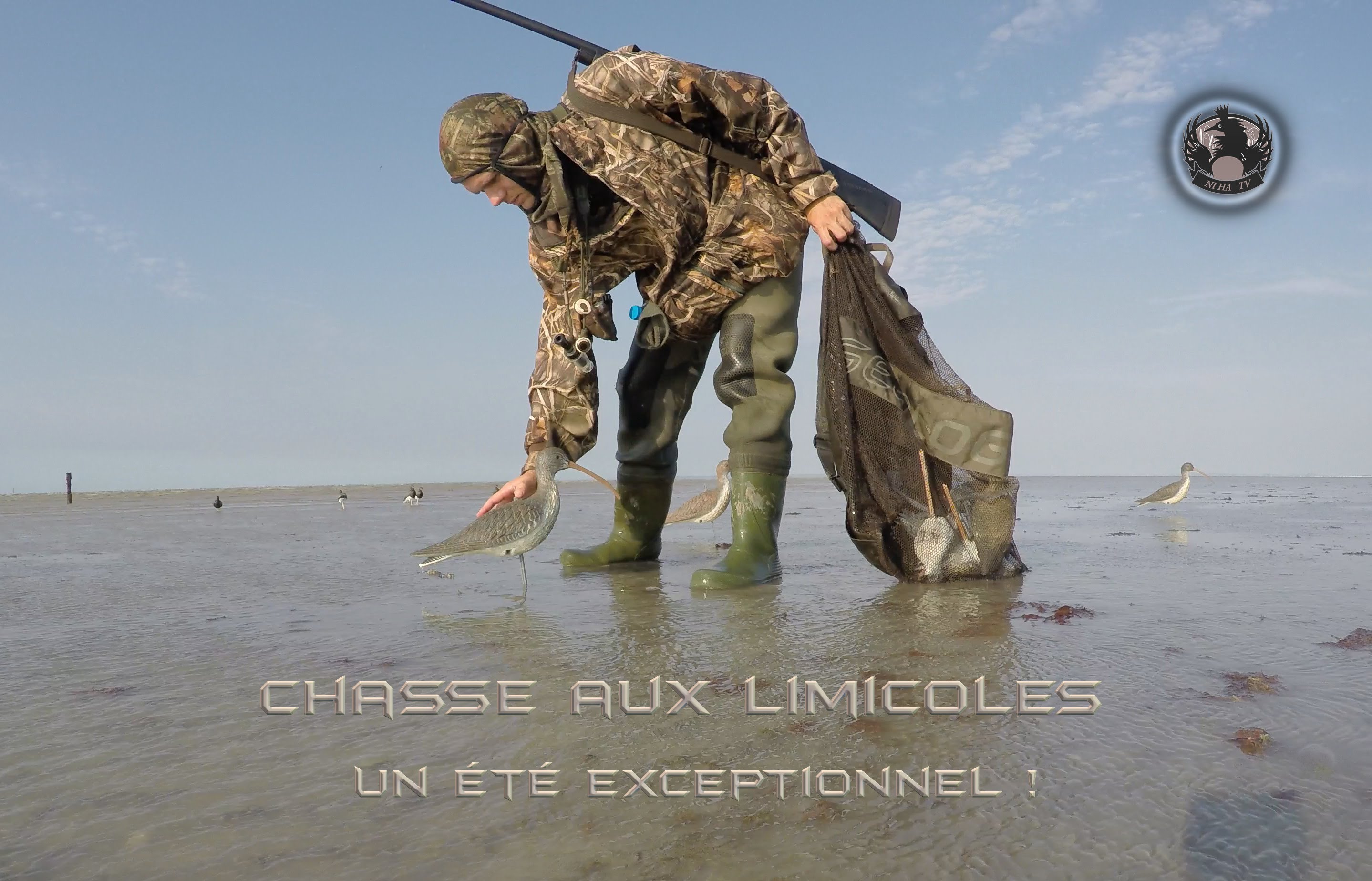 Vidéo : chasse au limicole en baie du Mont Saint Michel