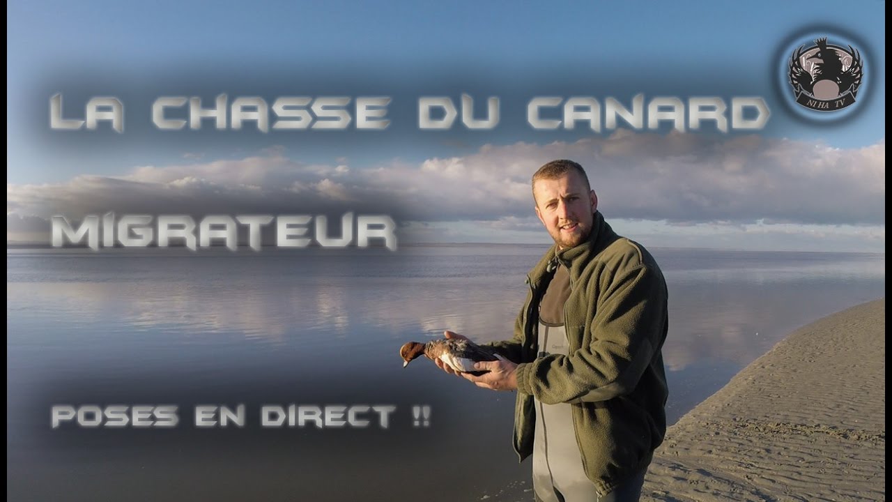 Vidéo : magnifique vidé HD sur la chasses à la passée en baie du mont St Michel