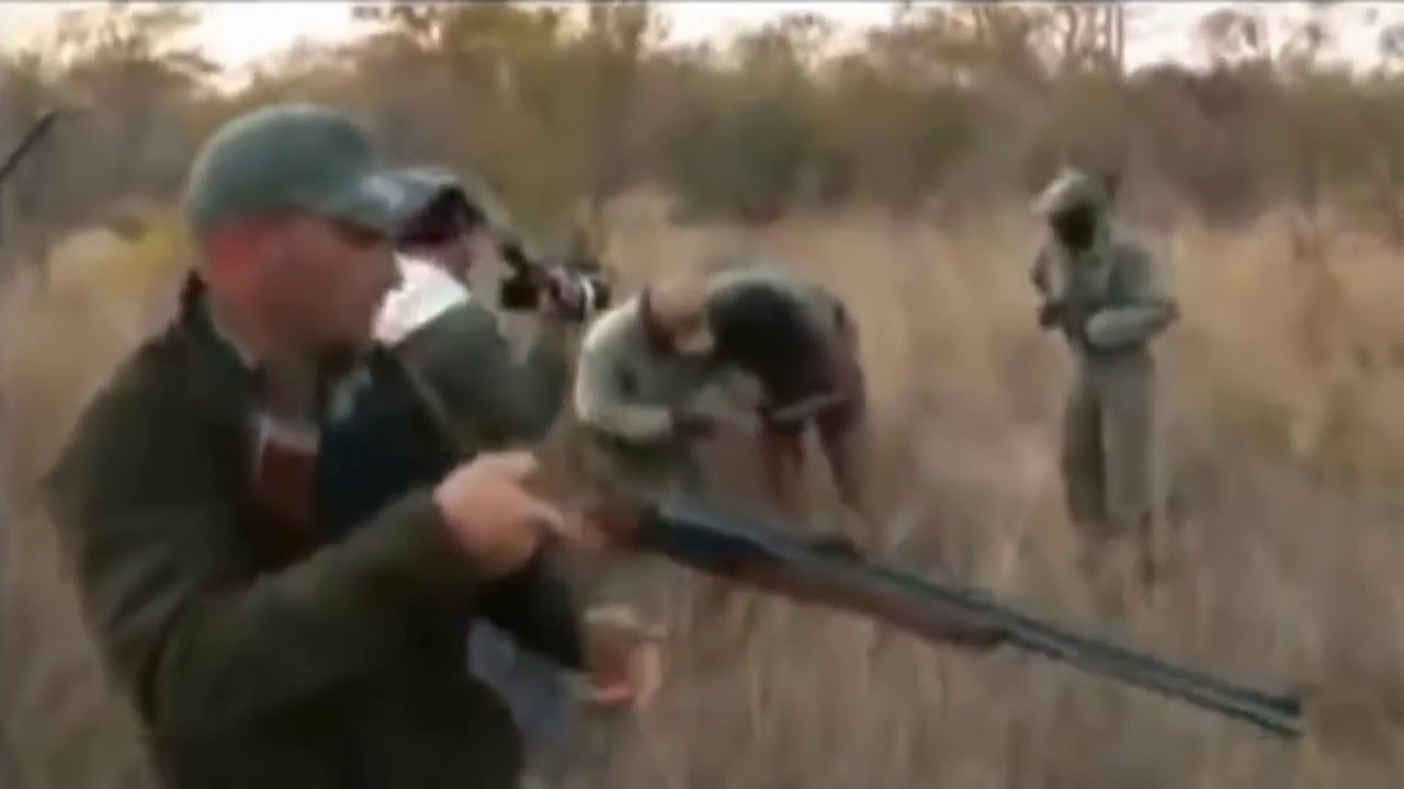 Vidéo : un léopard s’attaque à un guide en brousse