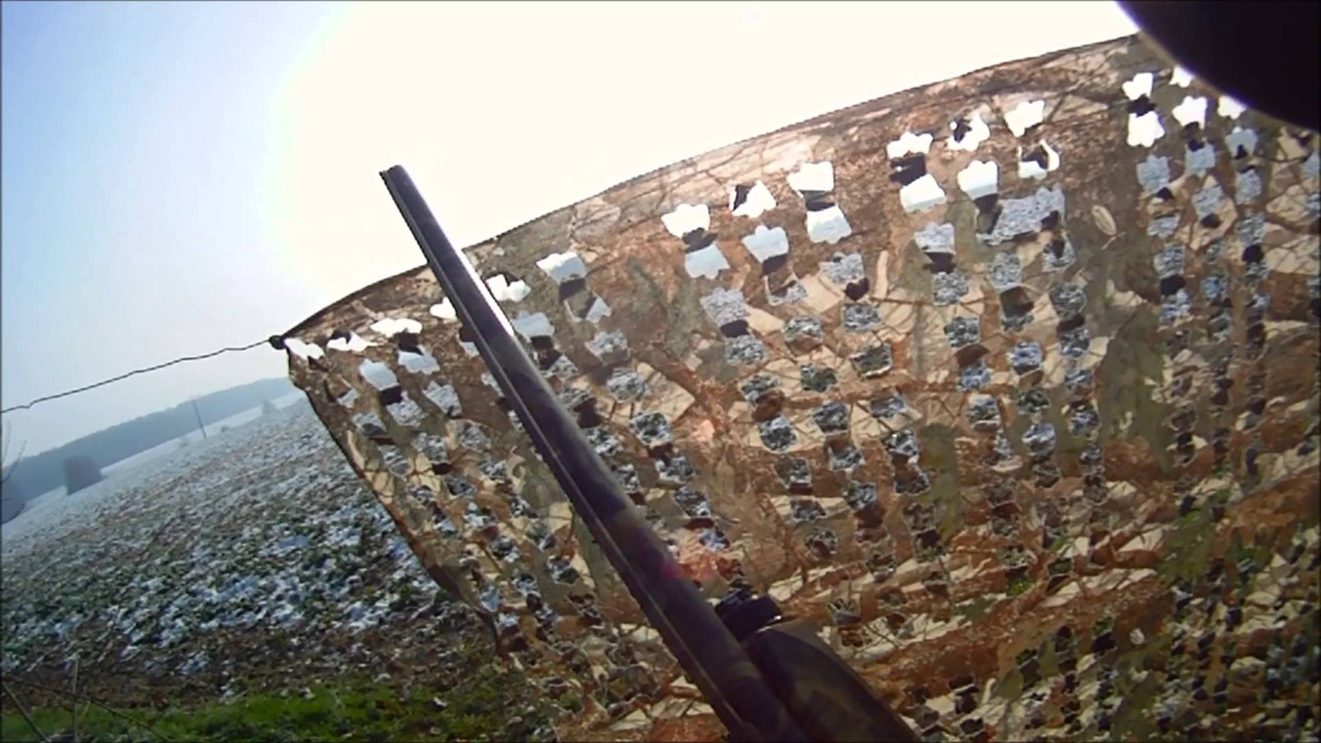 Vidéo : Une belle matinée de chasse au pigeon