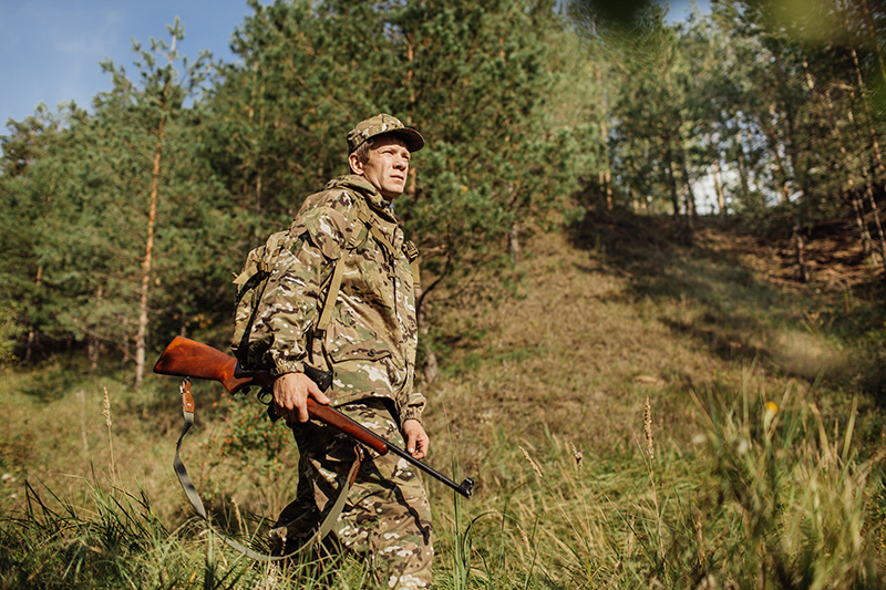 Bilan des accidents de chasse saison 2016/2017
