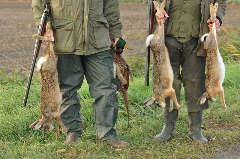 chasse-lievre-nuit-braconnage