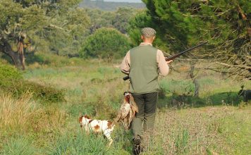 Chasse à la journée de la Miranderie en Dordogne
