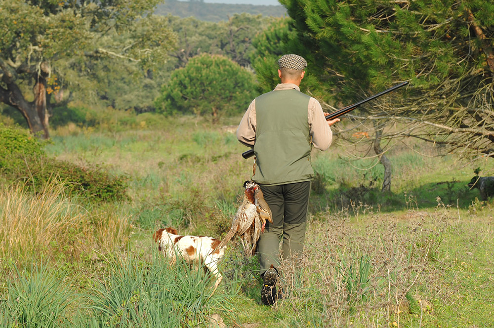 Chasse à la journée de la Miranderie en Dordogne