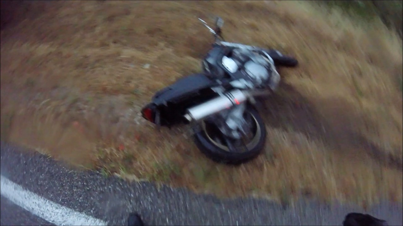 Vidéo : un motard percute un sanglier