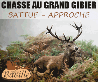 Augmenter le prix du permis de chasse pour lutter contre la maladie d’Aujeszky : l’appel du Président des chasseurs de la Haute-Marne Baville