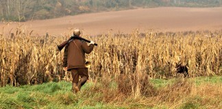 Chasse à la journée au domaine de Saint Cyr, en Essonne