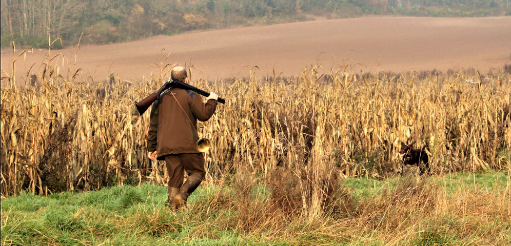 Chasse à la journée au domaine de Saint Cyr, en Essonne