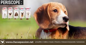 Bravecto, un poison pour votre chien ?