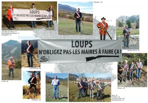 Des maires pris en photo avec des fusils de chasse pour lutter contre le loup