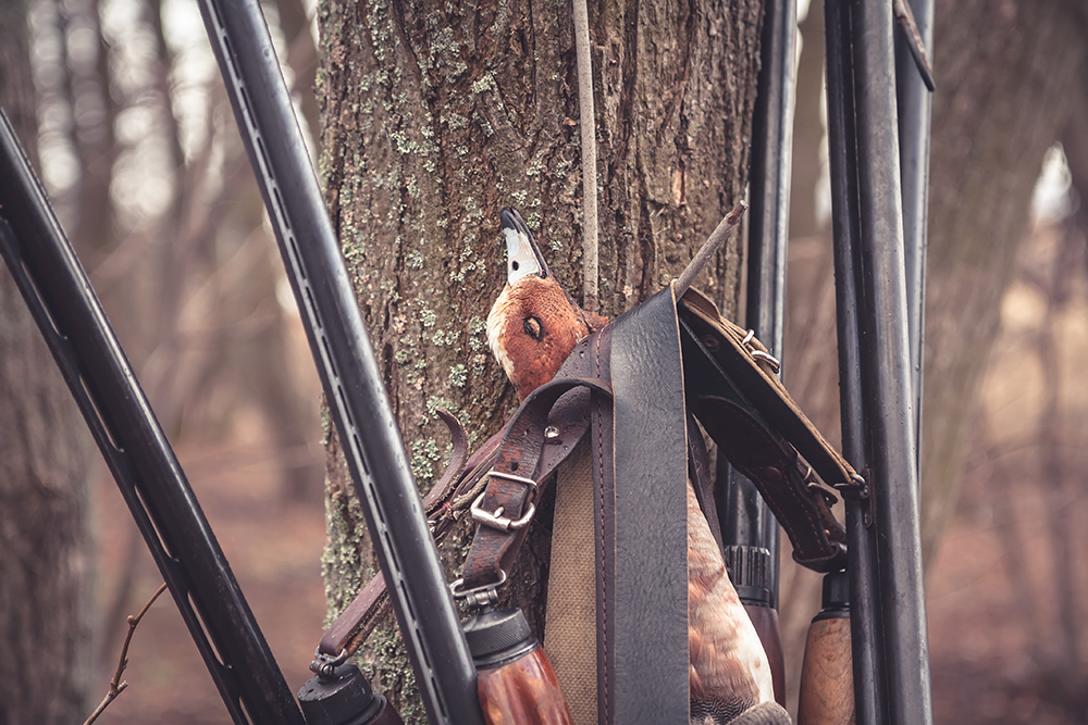 Chasse Passion vous renseigne sur le choix de votre fusil semi-automatique