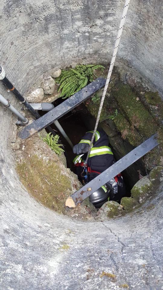 Les pompiers on du descendre en rappel pour sauver les marcassins au fond du puit