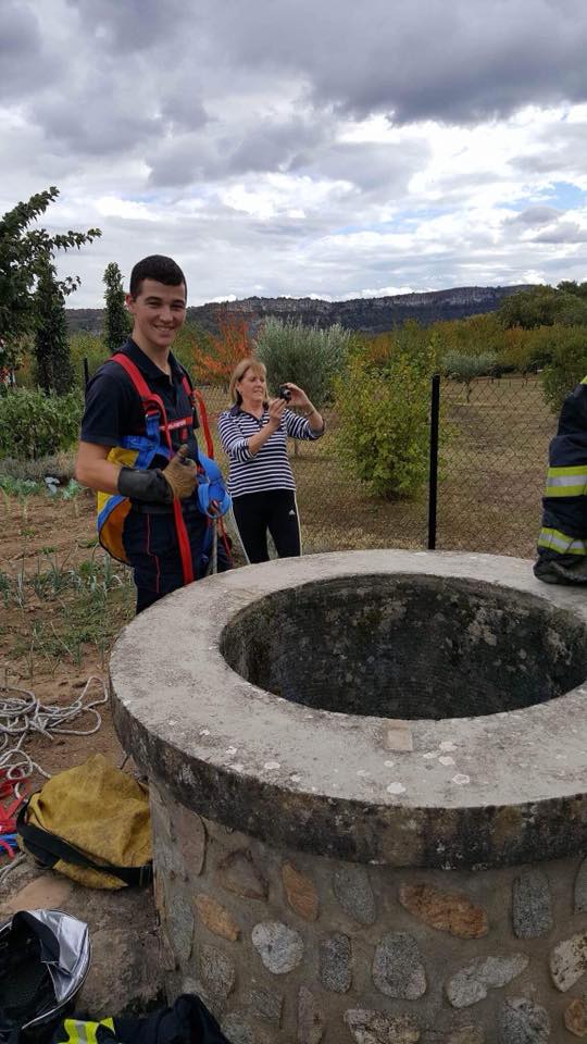 3 marcassins sauvés par les pompiers