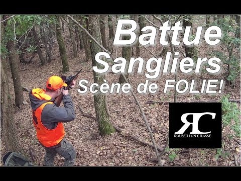 Vidéo : un sanglier qui a bien failli l’échapper belle