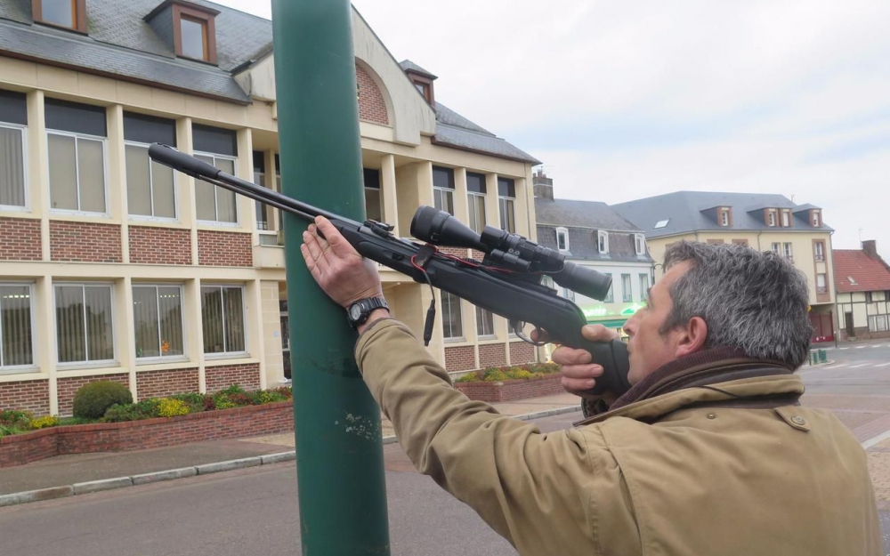 Oise : une commune obligée de détruire les pigeons à la carabine