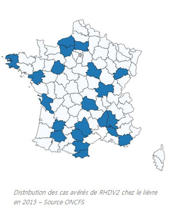 les départements touchés par le RHVD2