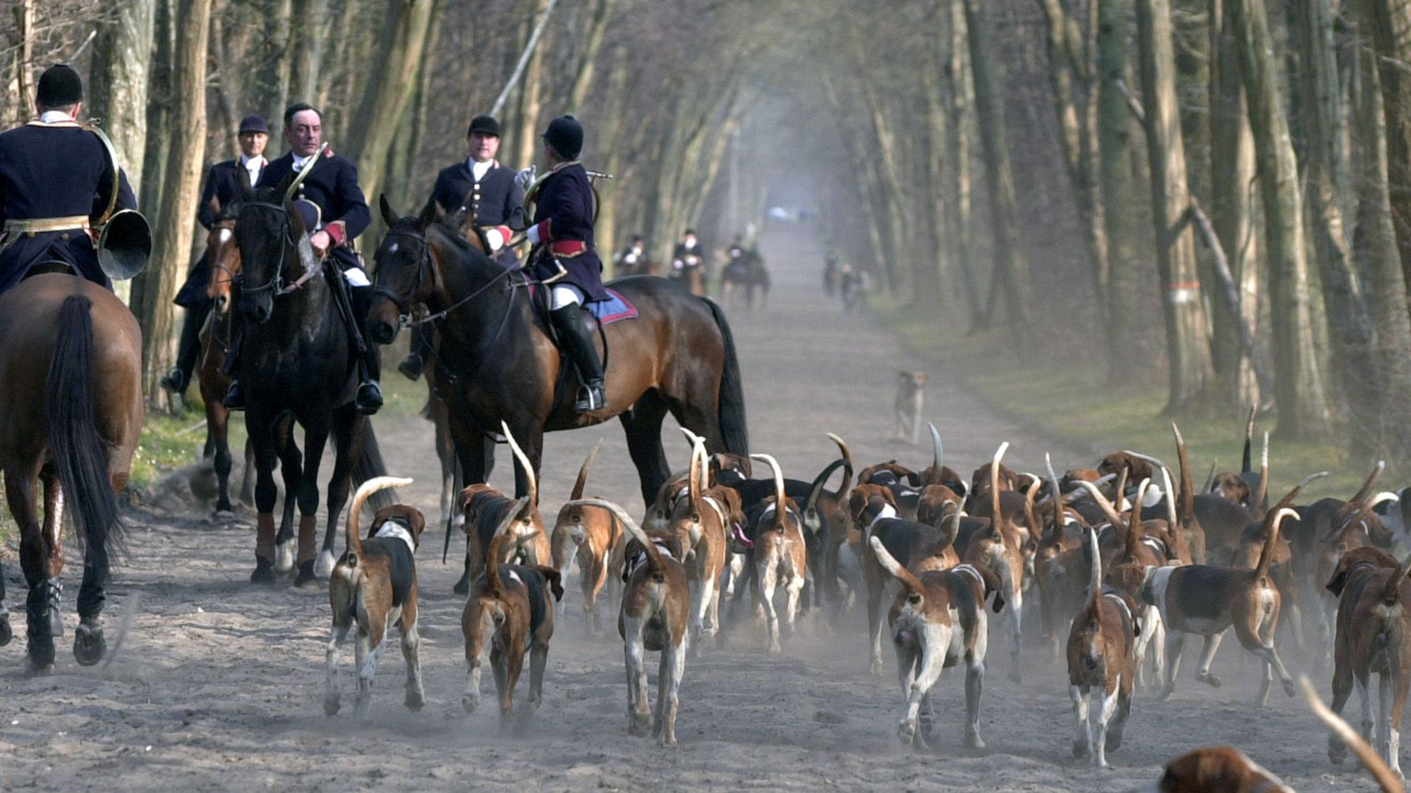 Une partie de chasse à courre fait polémique à Ingrannes avec un