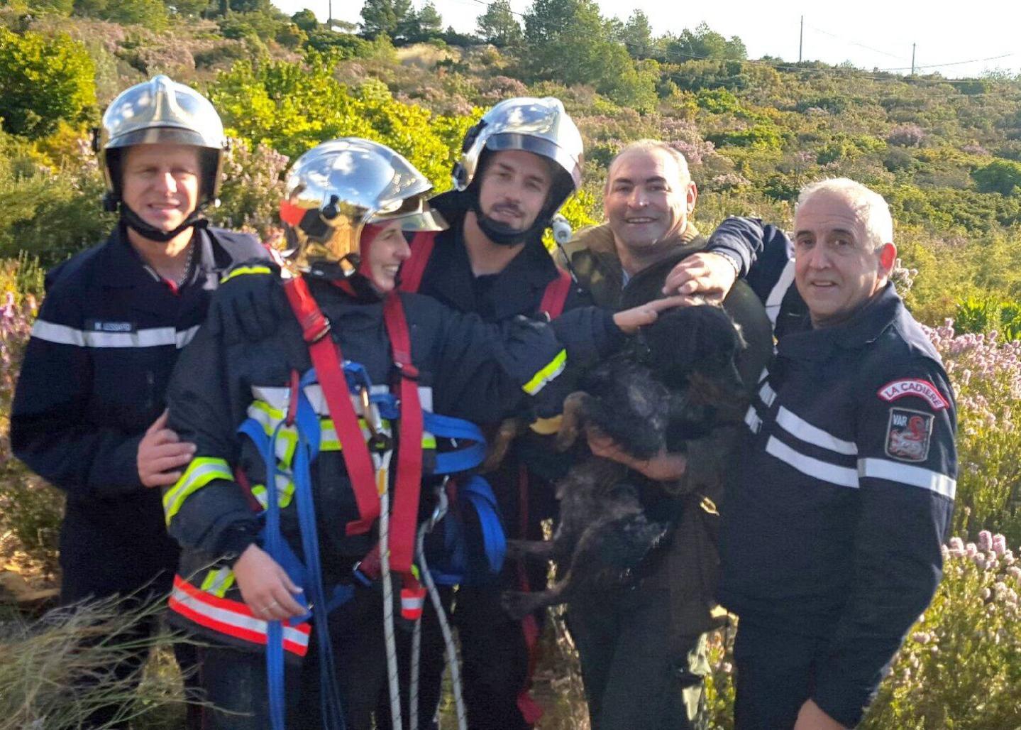 Samedi matin à Jas-de-Clare dans le Var un chien de chasse fut sauvé de la noyade par les pompiers.