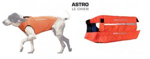 Astro le chien : nouveaux gilets de protection pour chiens de chasse