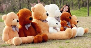 D'où vient le surnom de l'ours en peluche Teddy bear ?