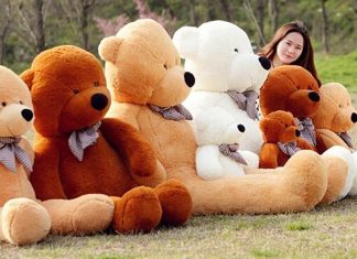 D'où vient le surnom de l'ours en peluche Teddy bear ?