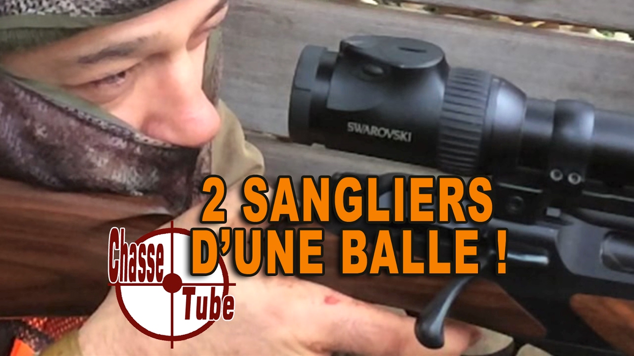 Vidéo : 2 sangliers d’une seule balle