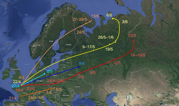 6 de grandes zones de toundra . Ces longues migratrices sont arrivées tardivement sur leur site de nidification, entre fin mai et mi - juin . Carte des trajets de migration de printemps de six bécassine s équipées de balises GPS/Argos