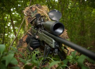 Le mot sniper tirerait son origine des chasseurs de bécassines