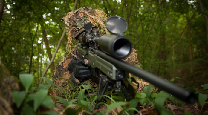 Le mot sniper tirerait son origine des chasseurs de bécassines