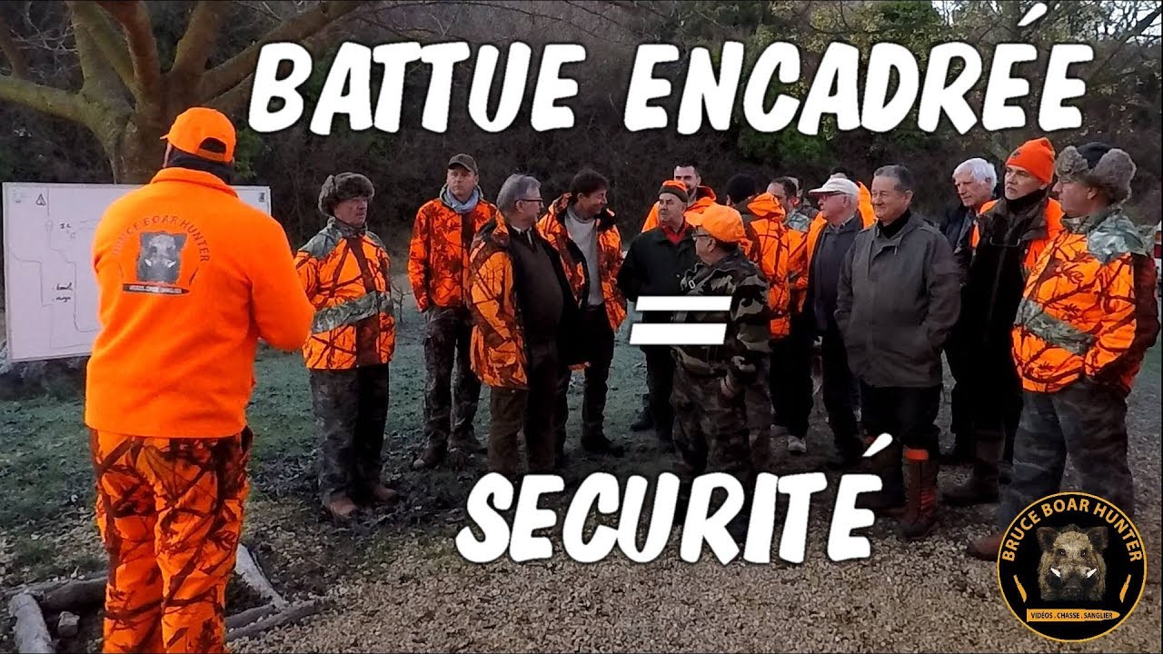 Vidéo : battue encadrée = sécurité, par Bruce Boar.