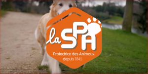 La SPA condamnée à verser 141 000€ à son ancien directeur