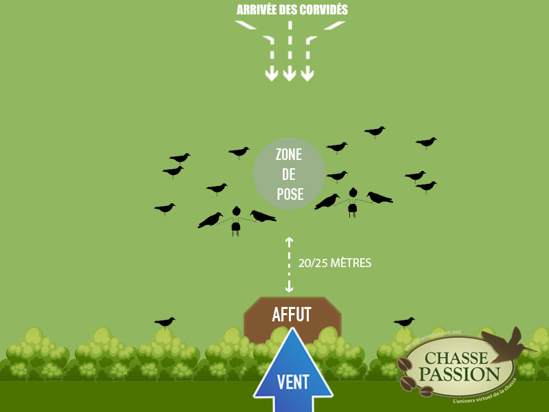 Exemple d'attelage pour chasser le corbeau