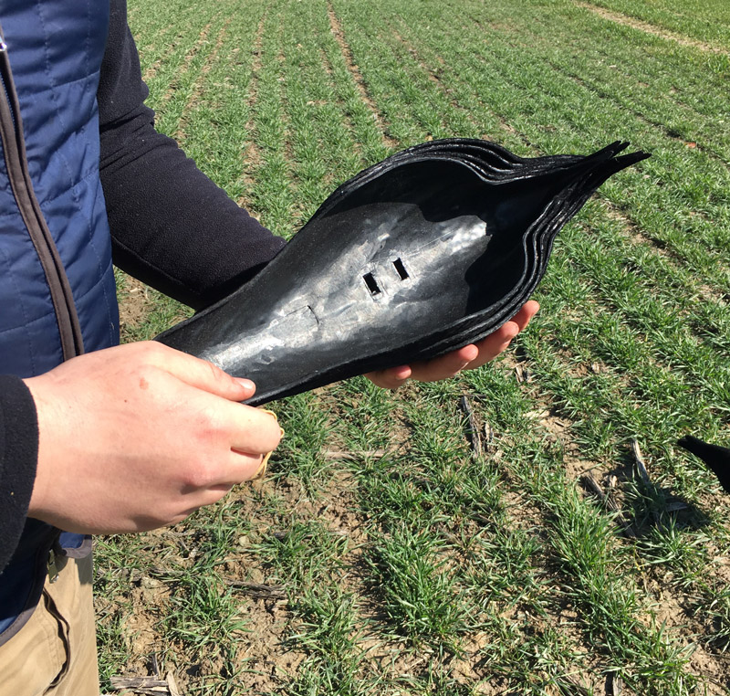 Les coquilles ou demi formes sont très pratique à la chasse aux corvidés