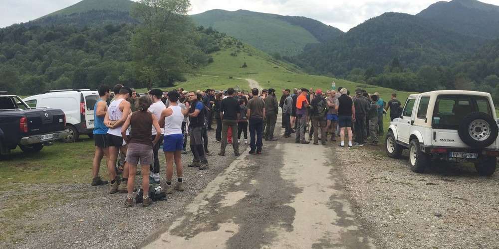 Pyrénées-Atlantiques, les habitants organise une battue d’effarouchement contre le loup