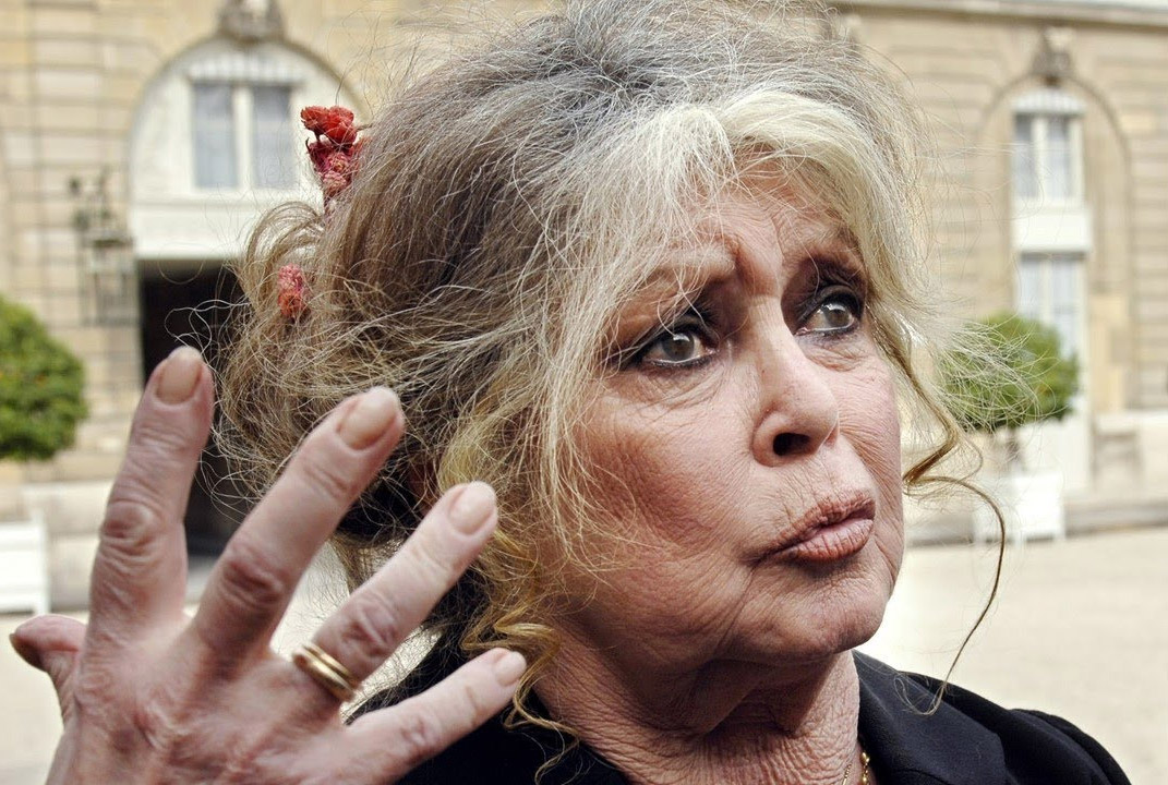 Brigitte Bardot : « Les chasseurs vont tuer ce qui reste des animaux miraculeusement échappés des brasiers »
