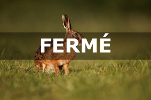 La chasse du lièvre, lapin et de la perdrix suspendue dans l’Aude