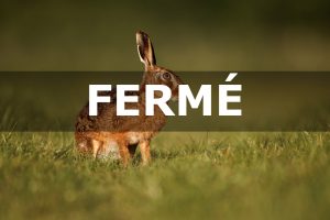 La chasse du lièvre, lapin et de la perdrix suspendue dans l’Aude