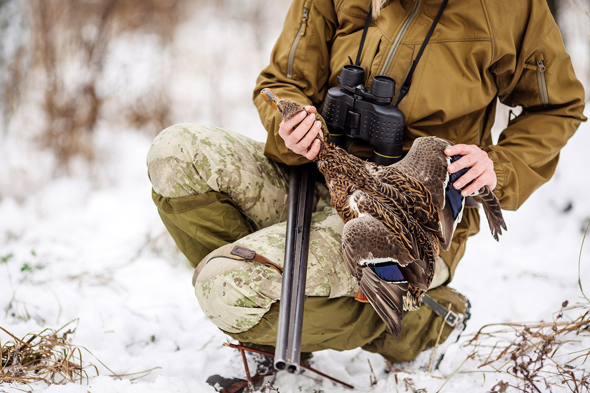 https://www.chassepassion.net/wp-content/uploads/2018/11/chasse-canards.jpg