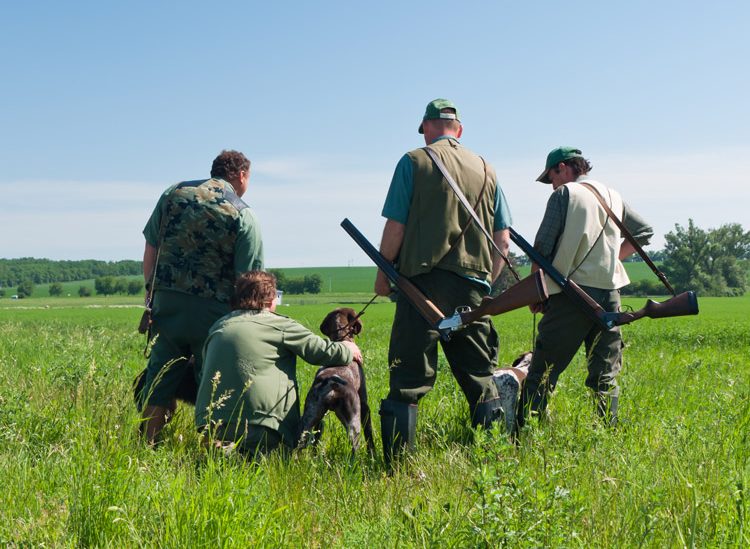 Débat sur un jour de non chasse en France