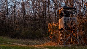 Les anti-spécistes saccagent une dizaine de miradors dans le Tarn