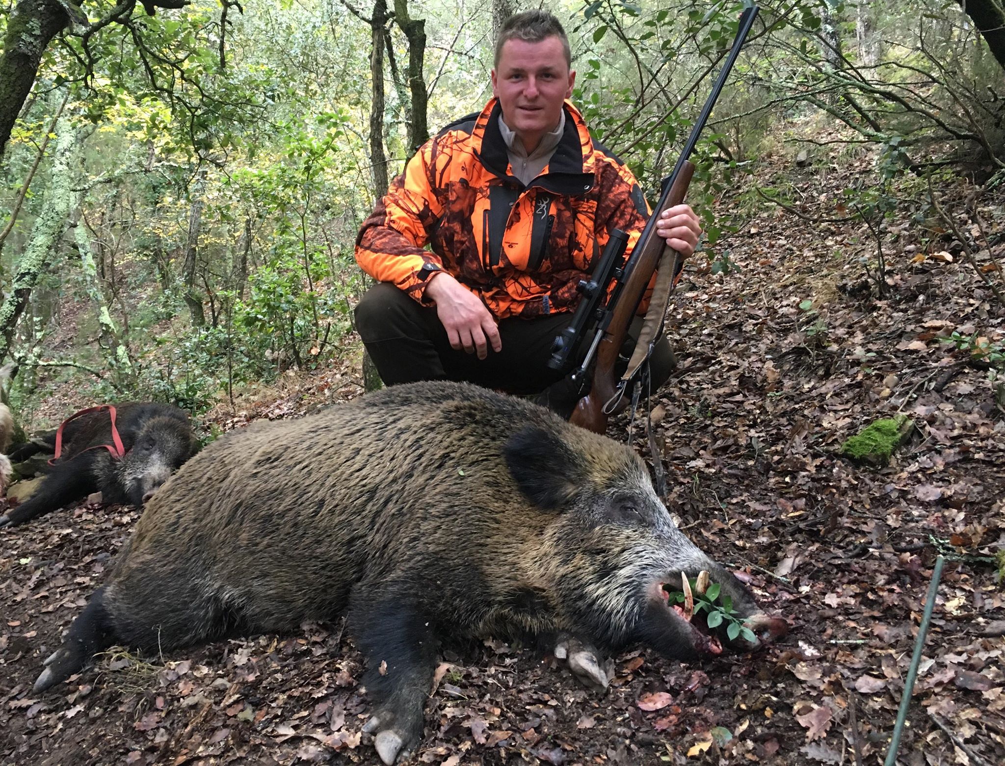 Récit de chasse : « j’ai tué le keiler de ma vie »