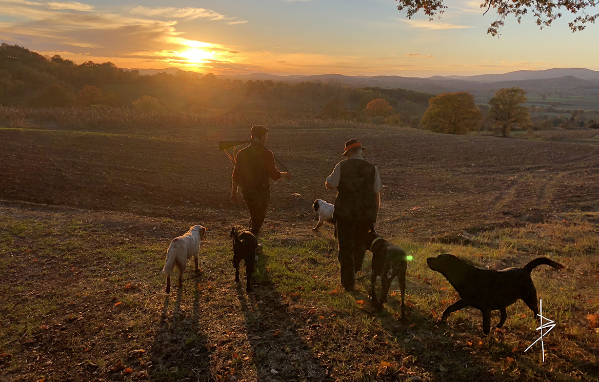 Une journée de chasse au domaine de la Rabolière