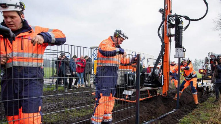 Le Danemark construit une clôture de 70 kms pour lutter contre la PPA