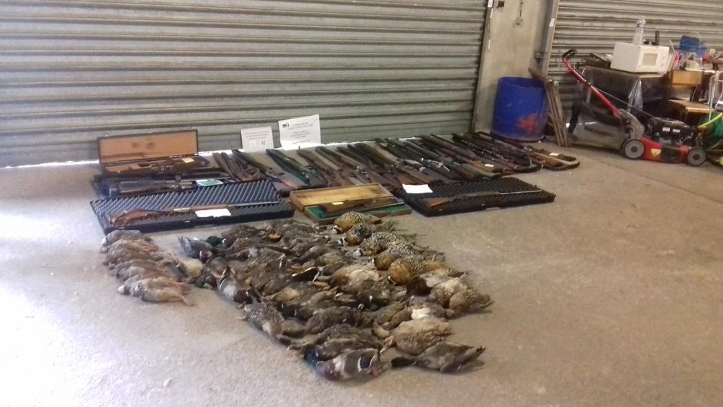 Un domaine de chasse organise une chasse au petit gibier au  mois de mars : 17 chasseurs impliqués.