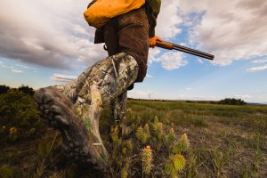 Les dates d'ouverture et de fermeture de la chasse 2019 2020