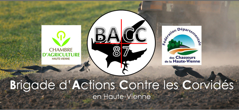 Brigade d'action contre les corvidés