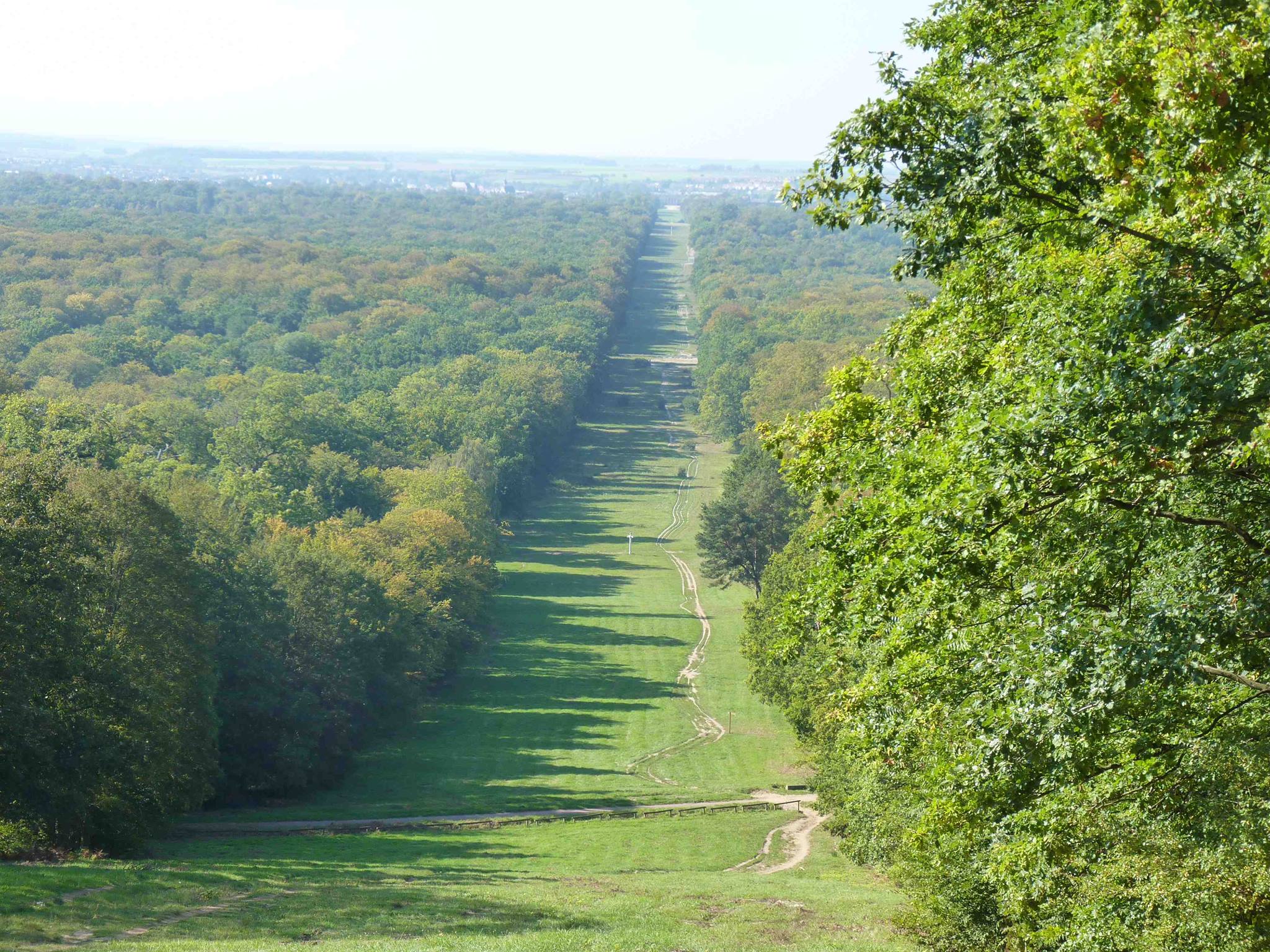 Forêt domaniale de Compiègne – ONF