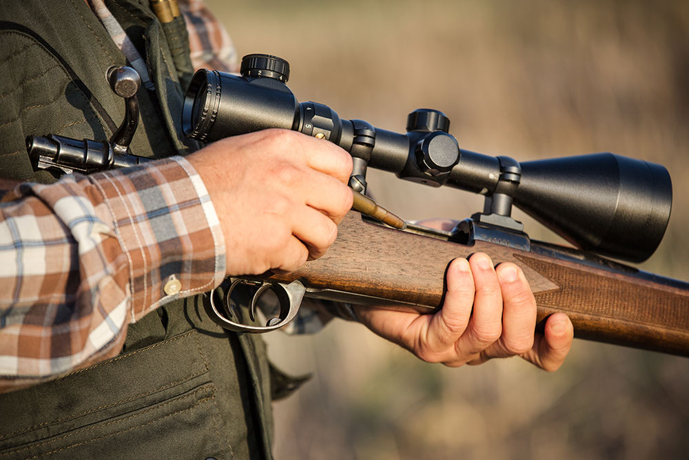 Prolongation de la chasse en battue au grand gibier dans les Ardennes