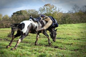 Une activiste anti-chasse condamnée par le tribunal