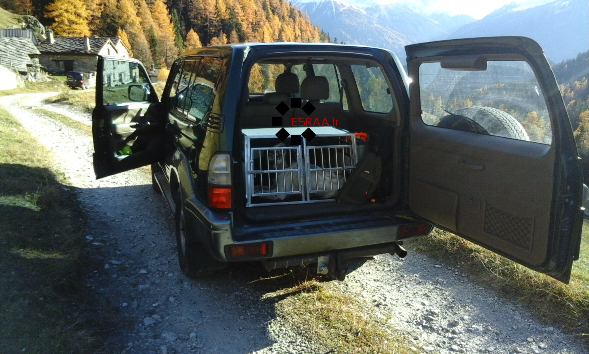 Cage de transport pour chien - ESRAA 